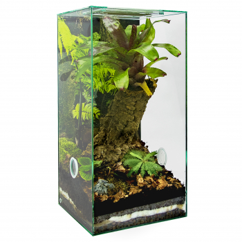 PLANTCUBE - Vivarium 30x30x60 Conservatorium